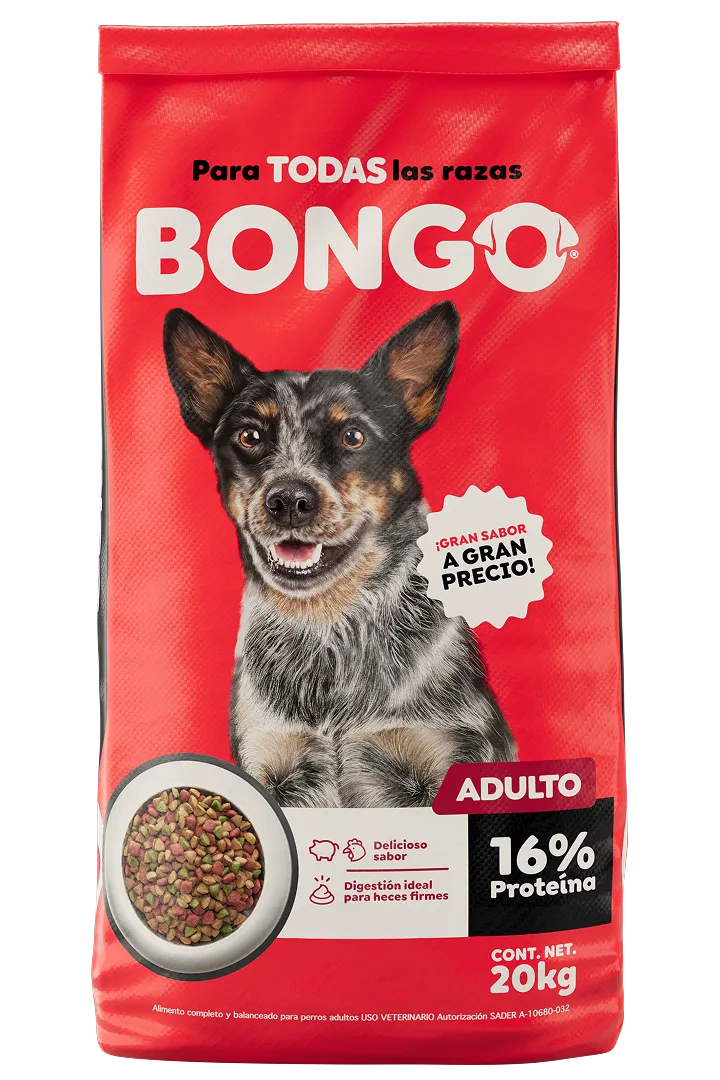 BONGO ADULTO 20 KG
