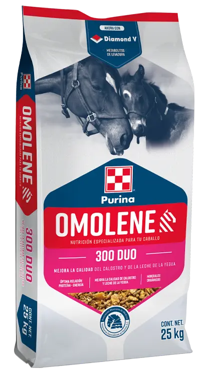 OMOLENE 300 DUO 25 KG