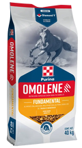 OMOLENE FUNDAMENTAL 25 Kg