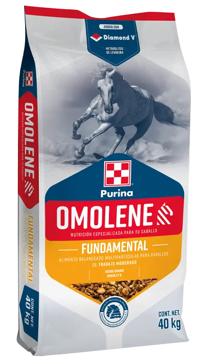 OMOLENE FUNDAMENTAL 25 Kg
