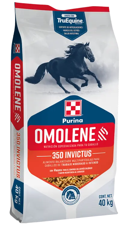 OMOLENE 350 INVICTUS 25 KG