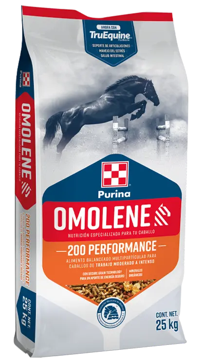OMOLENE 200 PERFORMANCE 25 KG