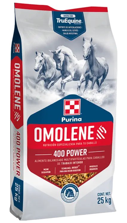 OMOLENE 400 POWER 25 KG