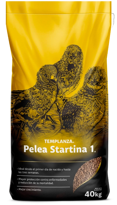 PELEA STARTINA #1 25 Kg